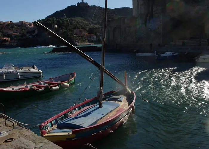 Argeles Plage 公寓 滨海阿热莱斯