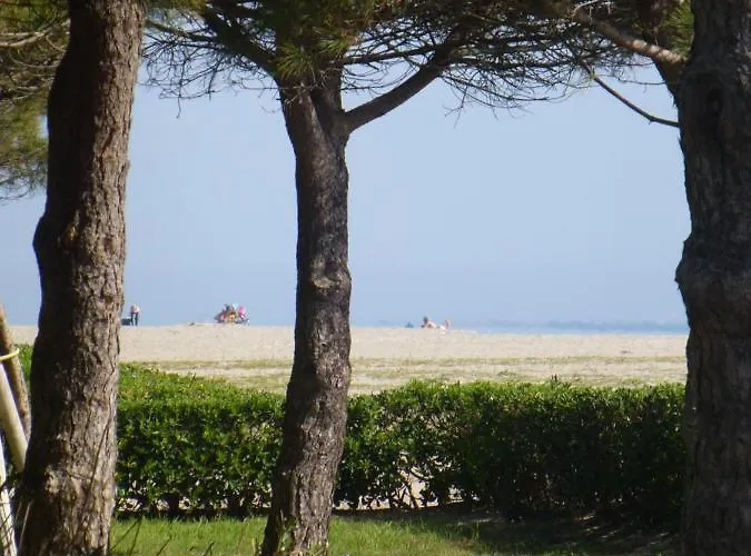 Argeles Plage 滨海阿热莱斯