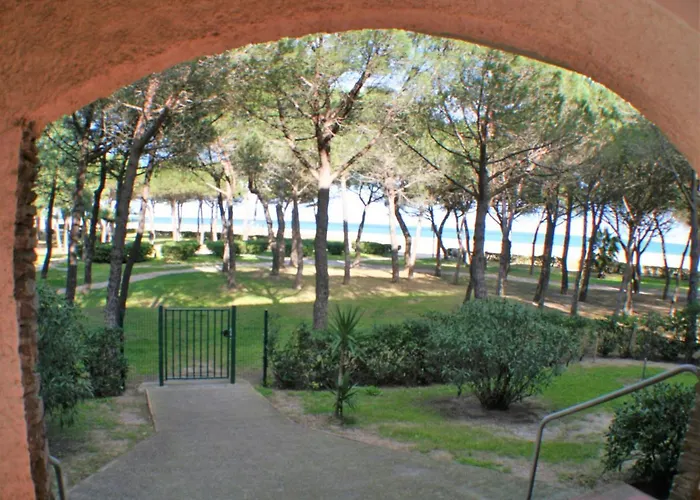 Argeles Plage 滨海阿热莱斯