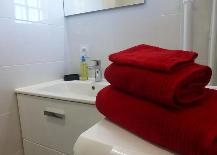 Argeles Plage 公寓 滨海阿热莱斯